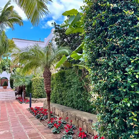 Duplex-penthouse With Stunning Panoramic View